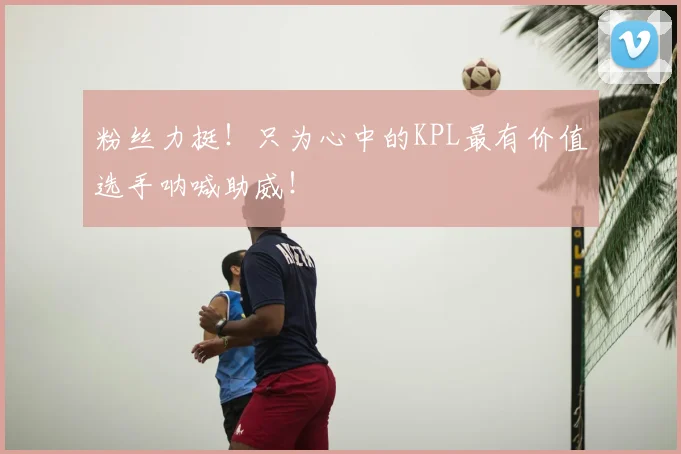 粉丝力挺！只为心中的KPL最有价值选手呐喊助威！