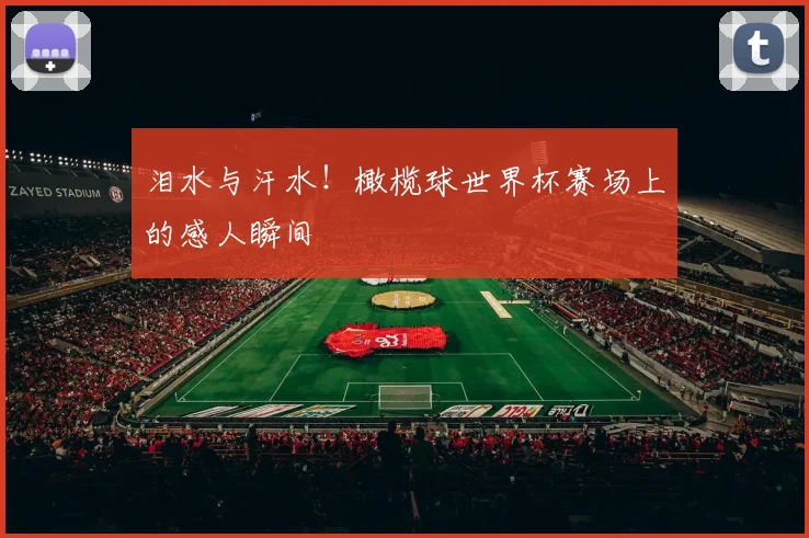 泪水与汗水！橄榄球世界杯赛场上的感人瞬间