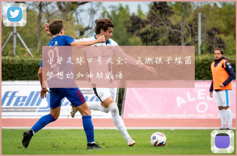 小学足球口号大全：点燃孩子绿茵梦想的加油助威语