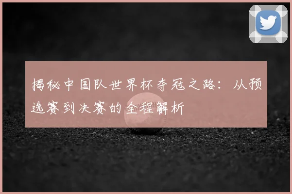 揭秘中国队世界杯夺冠之路：从预选赛到决赛的全程解析