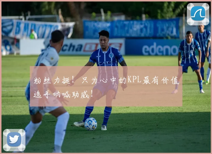 粉丝力挺！只为心中的KPL最有价值选手呐喊助威！